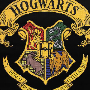 Fundraising Page: Markos Chavez